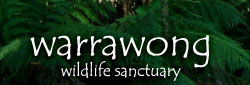  New South Wales Tourism 