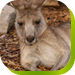  New South Wales Tourism 