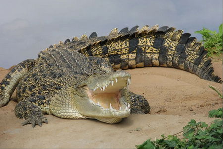  New South Wales Tourism 