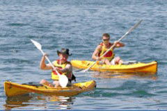 Manly Kayaks - New South Wales Tourism  0