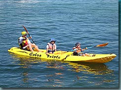 Manly Kayaks - New South Wales Tourism  3