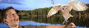 Territory Wildlife Park - New South Wales Tourism  2