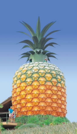  New South Wales Tourism 