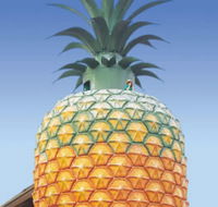 The Big Pineapple - New South Wales Tourism 