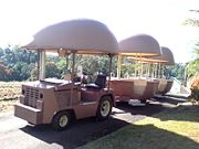 The Big Pineapple - New South Wales Tourism  2