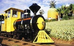 The Big Pineapple - New South Wales Tourism  3
