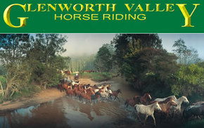 Glenworth Valley Horseriding - New South Wales Tourism  0