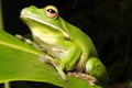  New South Wales Tourism 