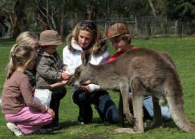 Gumbuya Park - New South Wales Tourism  1