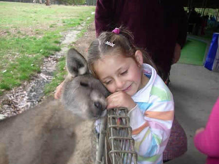 Gumbuya Park - New South Wales Tourism  3