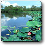 Kakadu National Park - New South Wales Tourism  3