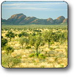 Uluru - Kata Tjuta National Park - New South Wales Tourism  2