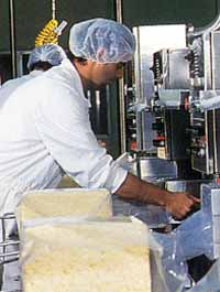 Allansford Cheese World - New South Wales Tourism  1