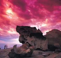 Kangaroo Island Adventure Tour 2 day/1 night - New South Wales Tourism 