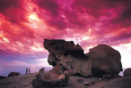 Kangaroo Island Adventure Tour 2 Day/1 Night - New South Wales Tourism  0