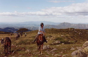 High Country Horses - New South Wales Tourism  0