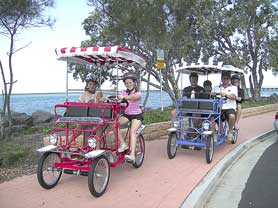 Beach Safaris - New South Wales Tourism  0
