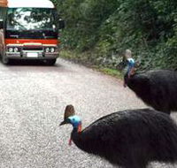 Kookaburra Tours - New South Wales Tourism 