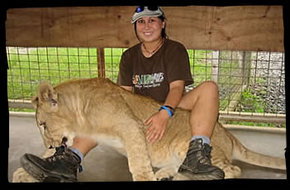 Cairns Wildlife Safari Reserve - New South Wales Tourism  1