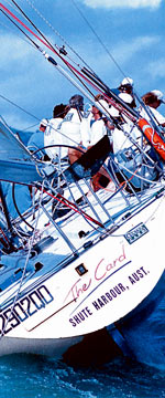 Koala Adventures - New South Wales Tourism  1