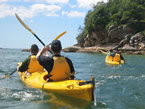 Sydney Harbour Kayaks - New South Wales Tourism  1