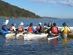 Sydney Harbour Kayaks - New South Wales Tourism  2