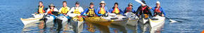 Sydney Harbour Kayaks - New South Wales Tourism  3