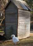 Wagga Wagga Zoo - New South Wales Tourism  2