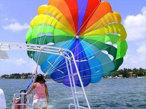 Parasail Australia - New South Wales Tourism  3