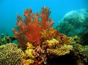 New South Wales Tourism