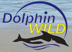Dolphin Wild - New South Wales Tourism  0
