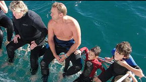 Dolphcom - Dolphin & Whale Swimming Adventures - New South Wales Tourism  2