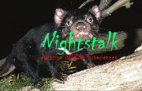 Something Wild - New South Wales Tourism  1