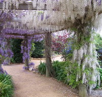 Abingdon Miniature Village - New South Wales Tourism 