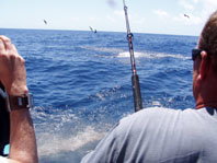 Downunder Charters - New South Wales Tourism  3