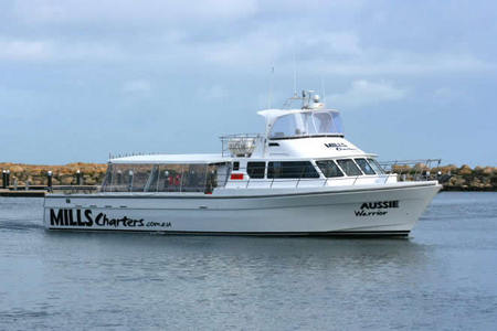 Mills Charters Fishing And Whale Watch Cruises - New South Wales Tourism  1
