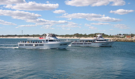 Mills Charters Fishing And Whale Watch Cruises - New South Wales Tourism  2