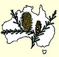 Australian National Botanic Gardens - New South Wales Tourism 