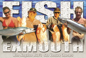 Ningaloo Blue Dive - New South Wales Tourism  2