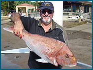 Odyssey Charters - New South Wales Tourism  1