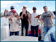 Odyssey Charters - New South Wales Tourism  2