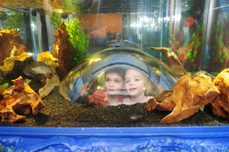 Scitech - New South Wales Tourism  3