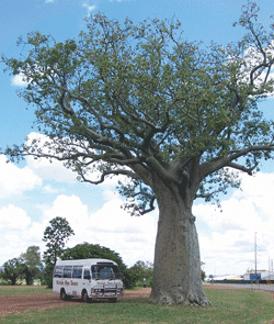 Kununurra Cruises - New South Wales Tourism  1