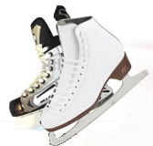 Bendigo Ice Stadium - New South Wales Tourism 