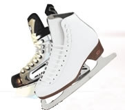 Bendigo Ice Stadium - New South Wales Tourism  0