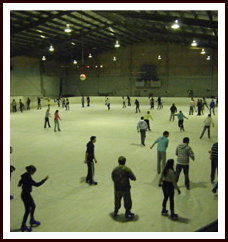 Bendigo Ice Stadium - New South Wales Tourism  1