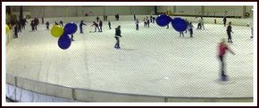 Bendigo Ice Stadium - New South Wales Tourism  2