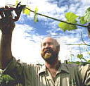 Barossa Experience Tours - New South Wales Tourism 