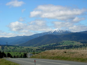Buller View Wines - New South Wales Tourism  2