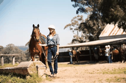 Watsons Trail Rides - New South Wales Tourism  0